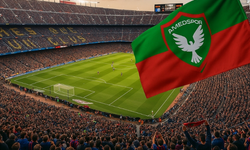 Amedspor ve Başkan Baysal’a PFDK cezaları tahkim tarafından onandı