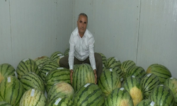 Diyarbakır’ın dev karpuzları yarışmaya hazırlanıyor