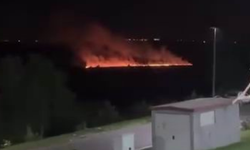 Diyarbakır’ın tarihi Hevsel Bahçeleri’nde yangın paniği