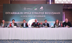 Diyarbakır İpeği, yeni dönemde marka değeri kazanacak