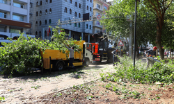 Diyarbakır Surları’nda peyzaj çalışması başladı