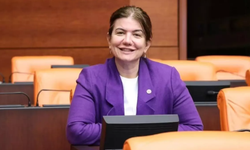 Diyarbakır vekilinden dikkat çeken açıklama: Kardeşlik tarihinde yeni bir sayfa açılıyor