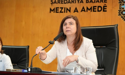 Diyarbakır, Zürih’le yeşil dönüşüm projesine hazırlanıyor