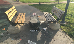 Diyarbakır’da Banklar Kundaklandı: Yeşil Alanlar Zarar Görüyor