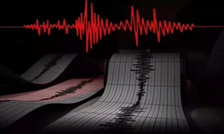 Diyarbakır’da deprem endişesi: Hani ilçesi etkilendi