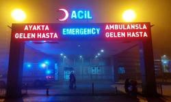 Diyarbakır'da Tırın Çarptığı Otomobil Sürücüsü Yaşamını Yitirdi