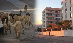 Diyarbakır’da vatandaşlardan yetkililere çağrı: “Güvenliğimiz tehlikede”