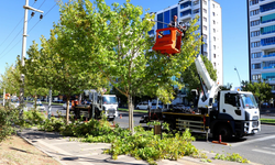 Diyarbakır’da yeşil alanlarda bakım çalışmaları başladı