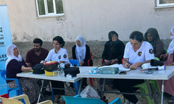 Lice’de kadınlara sağlık taraması ve farkındalık eğitimi