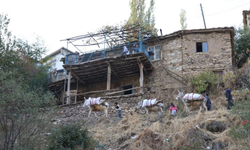 150 haneli Diyarbakır mahallesinde ulaşımda tek çare: Eşekler