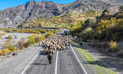9 Virajlı Yolda Koçerler’in Diyarbakır’a Dönüş Serüveni