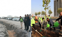 Diyarbakır Eşbaşkanları, ağaçlandırma ve yol çalışmalarını yerinde inceledi