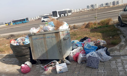 Diyarbakır Oğlaklı’da çöp sorunu: Belediyeden yanıt geldi
