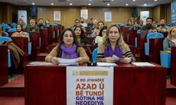 Diyarbakır’da 25 kasım için kadına şiddet karşıtı mesaj