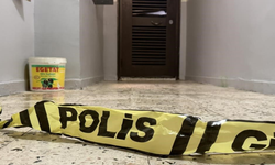 Diyarbakır’da  Anne ve ağabeyini öldüren gencin geçmişi ortaya çıktı