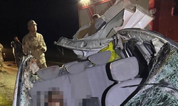 Diyarbakır’da feci kaza: Otomobiller atla çarpıştı! 1 Ölü, 7 yaralı