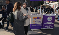 Diyarbakır’da kadına yönelik şiddetle mücadelede saha çalışmaları artıyor