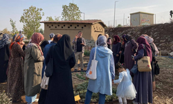 Diyarbakır’da kadınlar doğada tıbbi ve aromatik bitkileri keşfetti