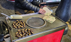 Diyarbakır’da Kestane Lüks Oldu: Kilosu 1500 TL