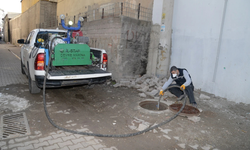 Diyarbakır’da kışlak haşere mücadelesi başladı: 290 personel sahada