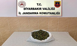 Diyarbakır'da operasyon: Yüklü miktarda uyuşturucu bulundu