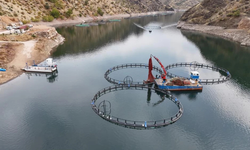 Diyarbakır’dan Dünyaya: Mezopotamya somonu ihracata hazır!