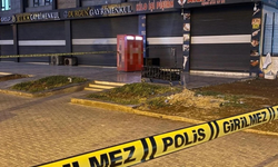 Diyarbakır’da Baba ve oğul cinayetinde flaş gelişme