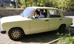 Eskişehirli çiftin serçesi Diyarbakır sokaklarının gözdesi oldu