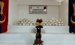 Lice’de dev operasyon: 555 kilo uyuşturucu ele geçirildi