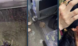 Amedspor’dan Bodrum maçı sonrası sert tepki: Irkçı saldırılar için hukuki süreç başlatılıyor