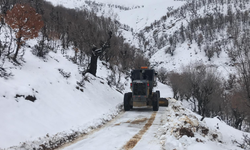 Diyarbakır’da kar alarmı: Büyükşehir 100 personel ve 1200 ton tuzla hazır