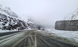 Diyarbakır-Bingöl kara yolunda kar alarmı: Araçlar yolda kaldı