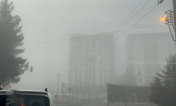 Diyarbakır güne sisle uyandı