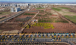 Diyarbakır’a ekolojik park hamlesi: Naturapark’ta çalışmalar başladı