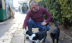 Diyarbakır’da 30 yıldır duraktaki kedilere sahip çıkıyor