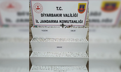 Diyarbakır’da Bizans dönemi’ne ait tarihi eser operasyonu