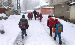 Diyarbakır’da eğitime kar engeli: Okullar yarın da tatil