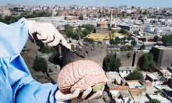 Diyarbakır’da İki genel cerrah gözaltına alındı