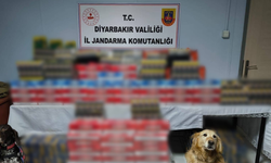 Diyarbakır’da jandarmadan kaçakçılığa darbe: 91 şüpheli hakkında işlem