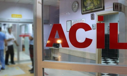 Diyarbakır’da kargo aracı devrildi: 2 kişi yaralandı