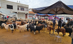 Diyarbakır’da kurban alanları yeniden hareketlenmeye başladı