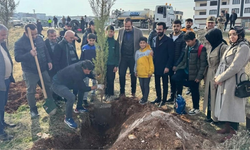 Diyarbakır’da öğrenciler sur şehitleri için fidan dikti