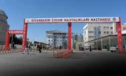 Diyarbakır’da SES temsilcisinden isyan: “Hak aradım, cezalandırıldım”