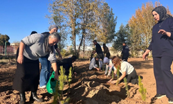 Diyarbakır’da şiddet yüzünden ölen kadınlar için hatıra ormanı oluşturuldu