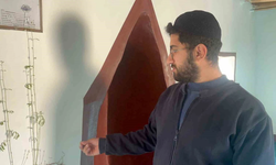 Diyarbakır’daki camide duvardan bitki çıktı