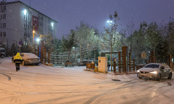 Ergani’de kar ve buzlanma hayatı felç etti: Yollar buz pistine döndü