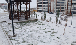 Kulp’ta kar hayatı durdurdu: Yollar kapandı, okullar tatil edildi