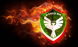 Disiplin Kurulu'nun verdiği cezaya karşı Amedspor'dan flaş hamle!