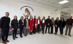 Türkiye'nin ilk "Anne Dostu Hastanesi" Diyarbakır'da: Çermik Devlet Hastanesi'nin gururu