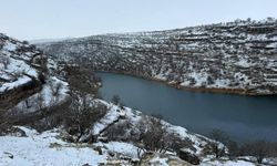Doğaseverler yeni rotayı buldu: Dicle'deki Bawkan Vadisi görenleri büyülüyor